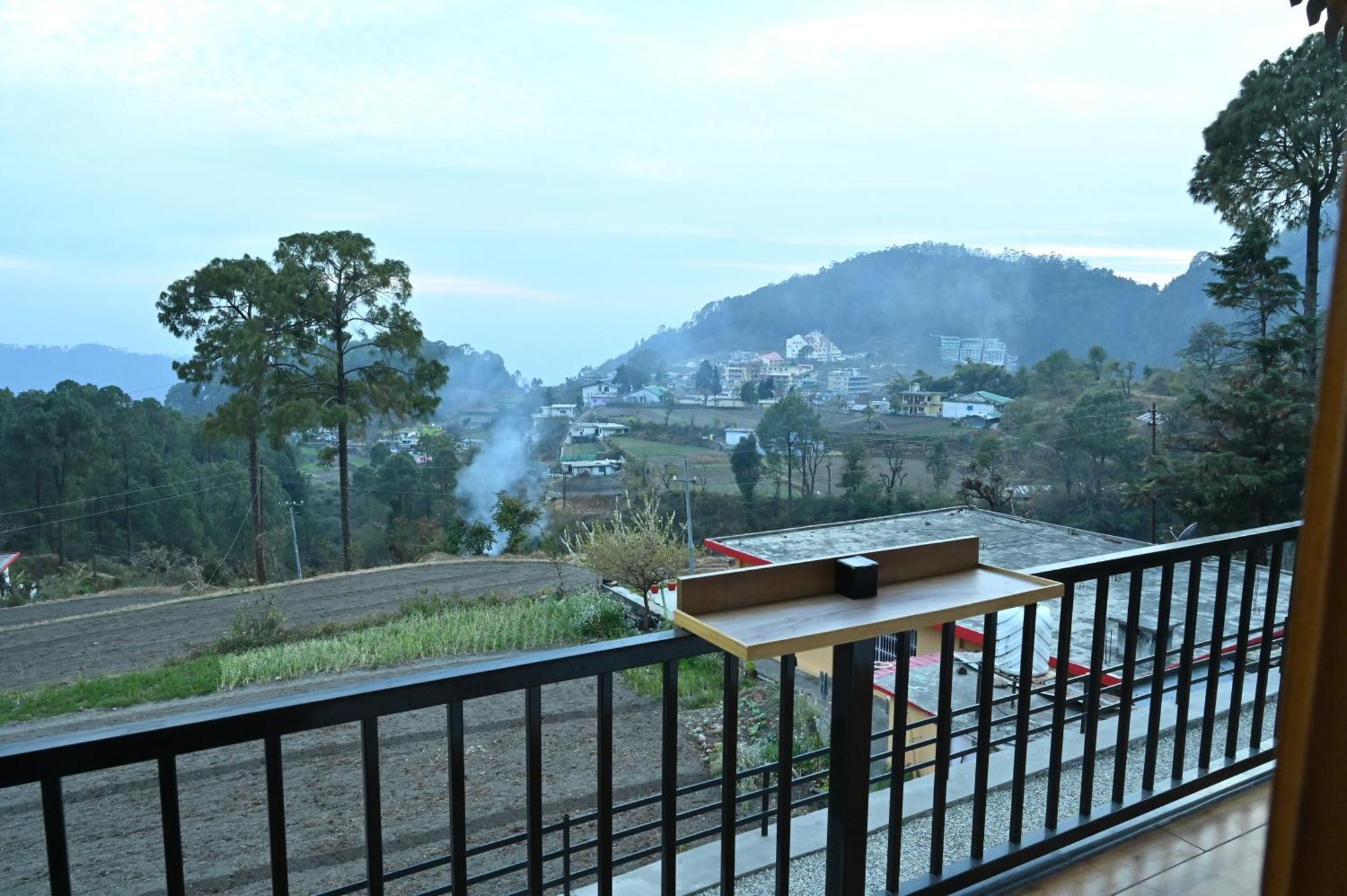 Silver Fern By The Hillside Nainital Rom bilde